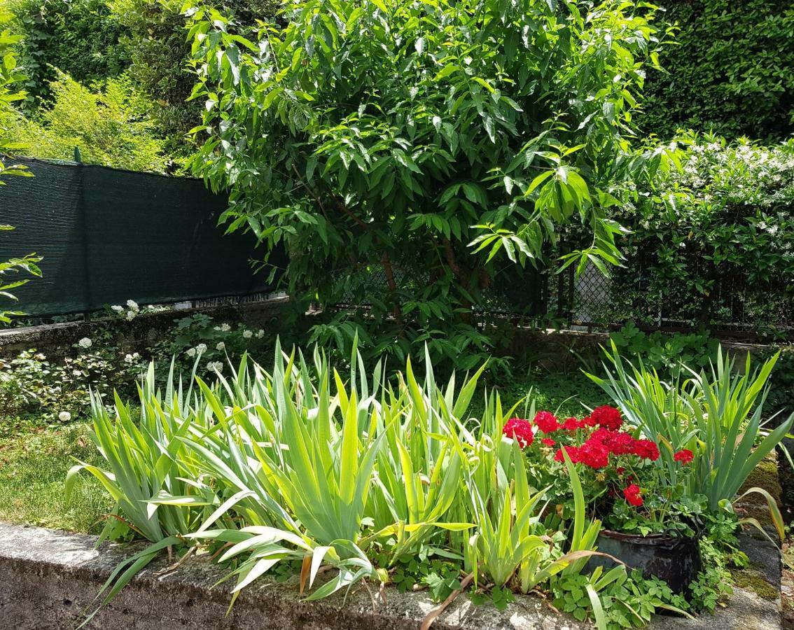 Casa Irina Apartment Riva del Garda Ngoại thất bức ảnh