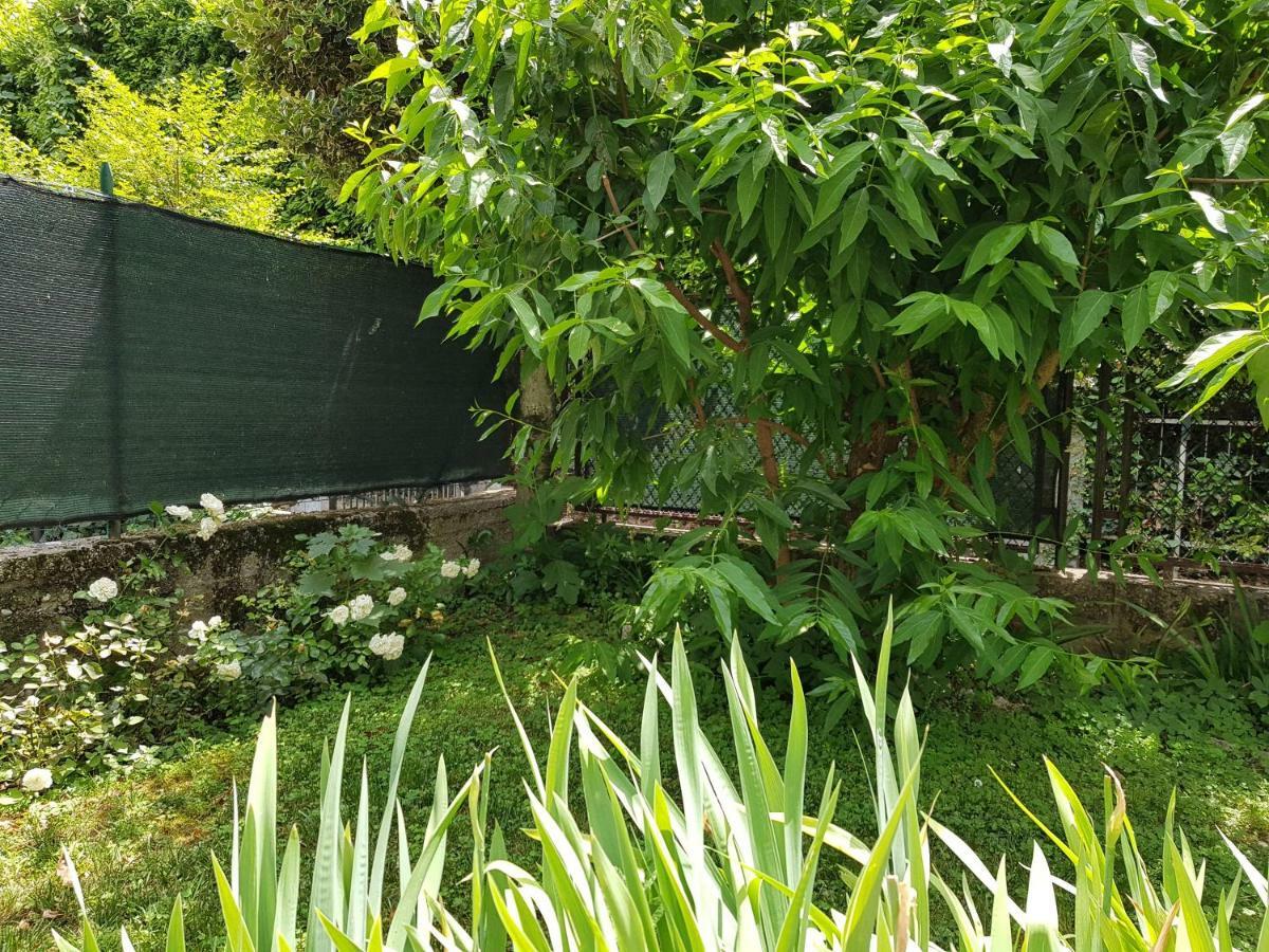 Casa Irina Apartment Riva del Garda Ngoại thất bức ảnh